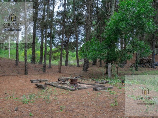 place photo 34
