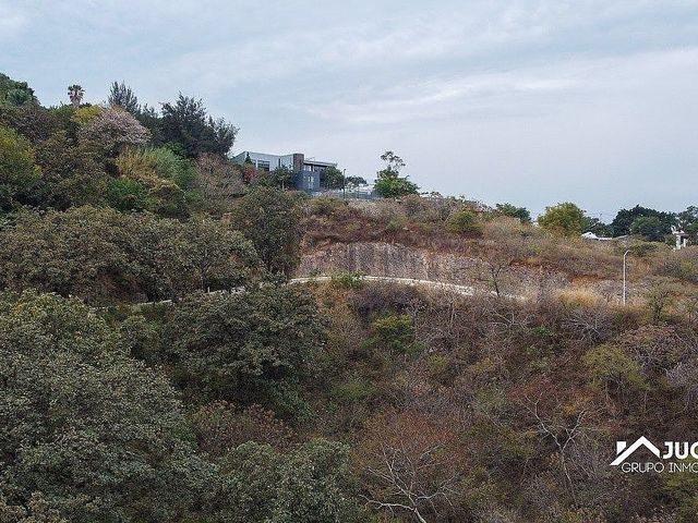 place photo 39
