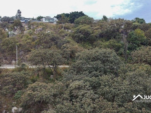 place photo 38