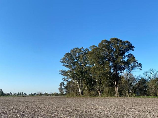 place photo 21