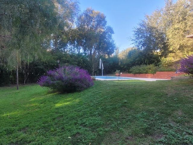 place photo 46