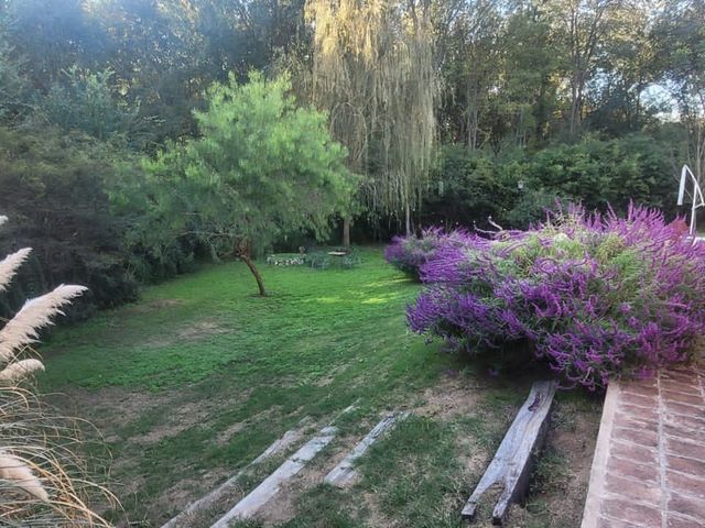 place photo 45
