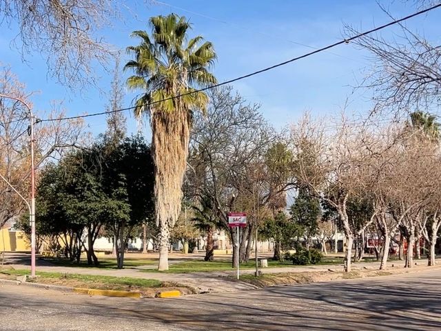 place photo 17