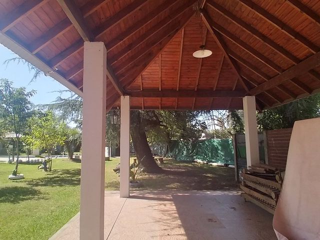 place photo 37