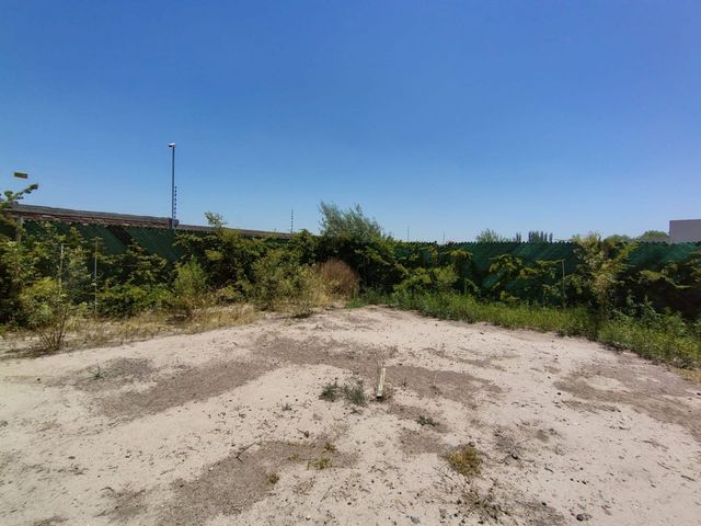 place photo 24