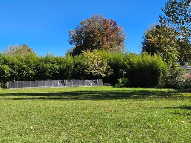 place photo 43