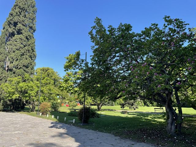 place photo 54