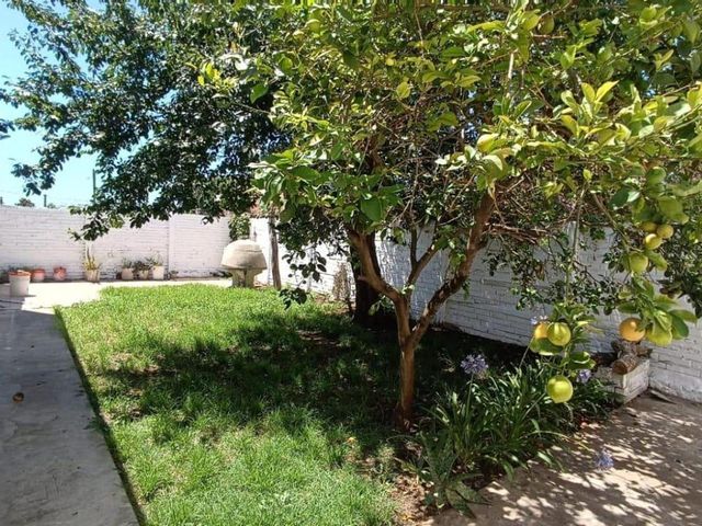 place photo 33