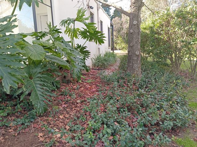 place photo 53