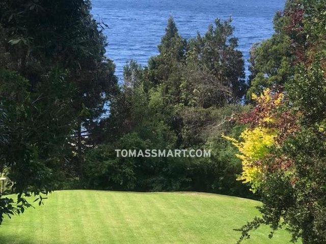 place photo 56