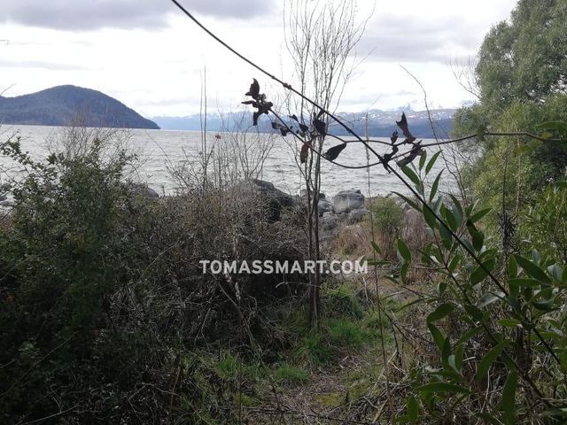 place photo 57