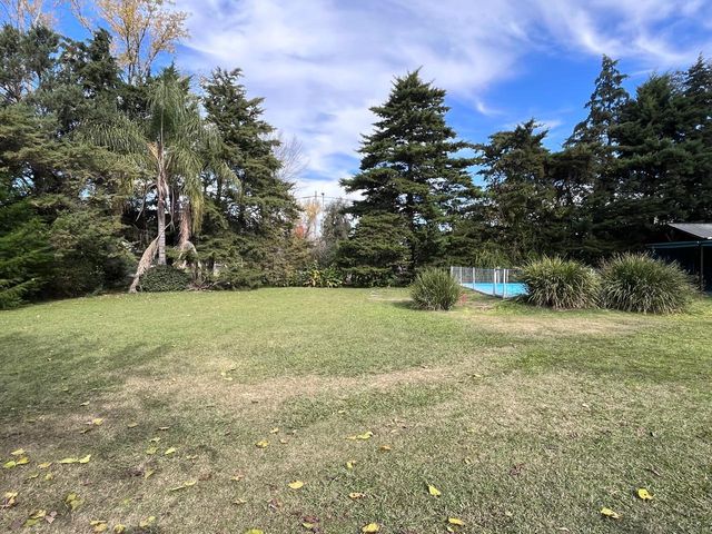place photo 45