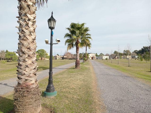 place photo 51