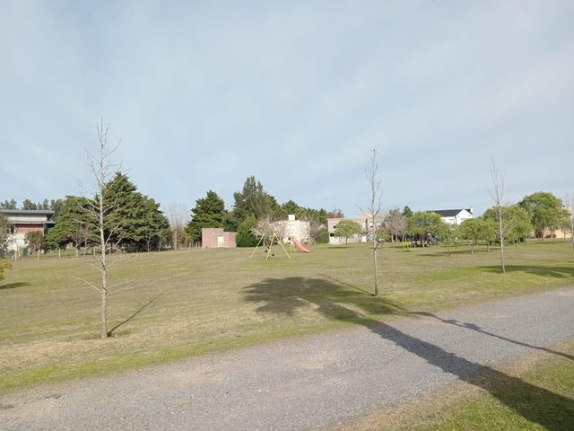 place photo 50