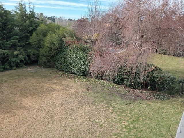 place photo 47