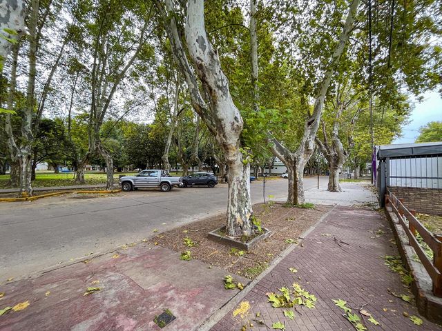 place photo 24