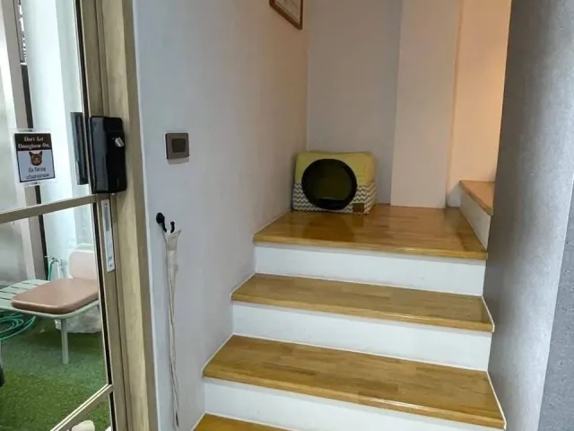 place photo 8