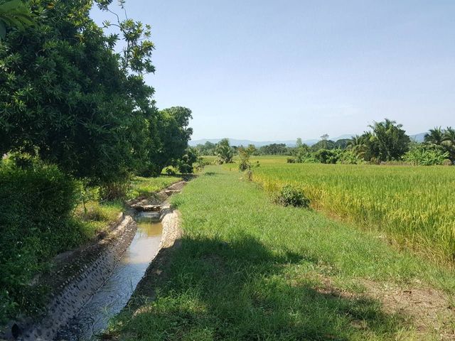 place photo 32