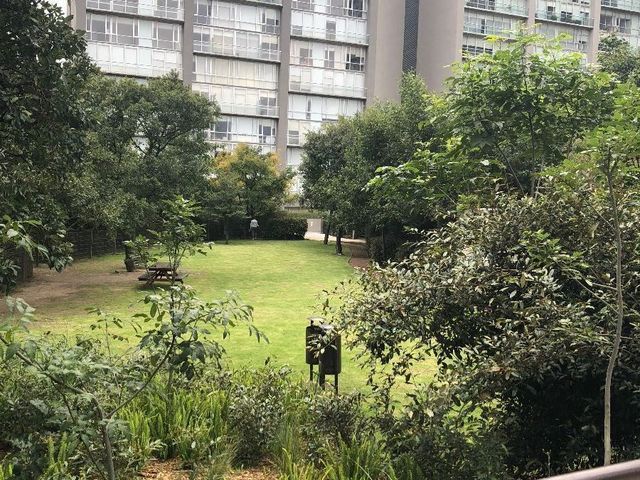 place photo 23