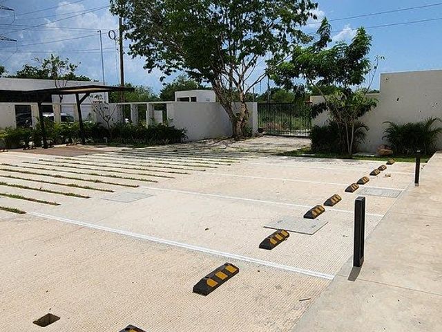 place photo 31