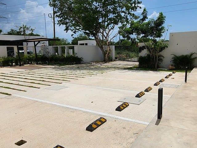 place photo 31
