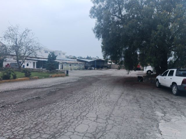 place photo 16