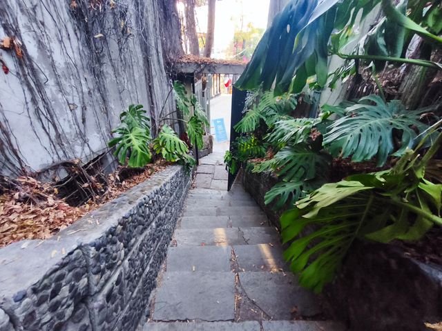 place photo 27