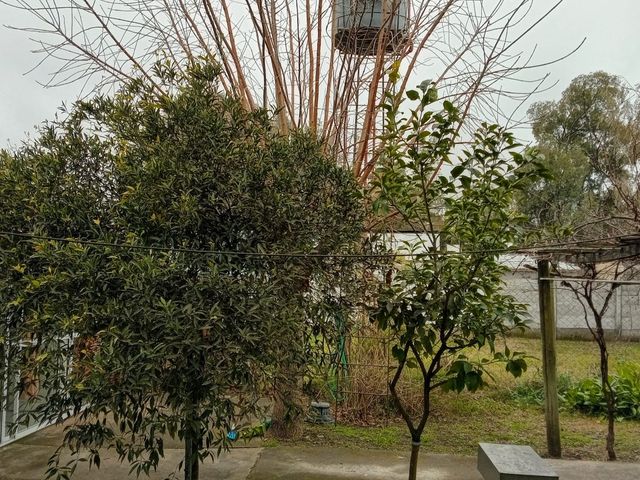 place photo 27