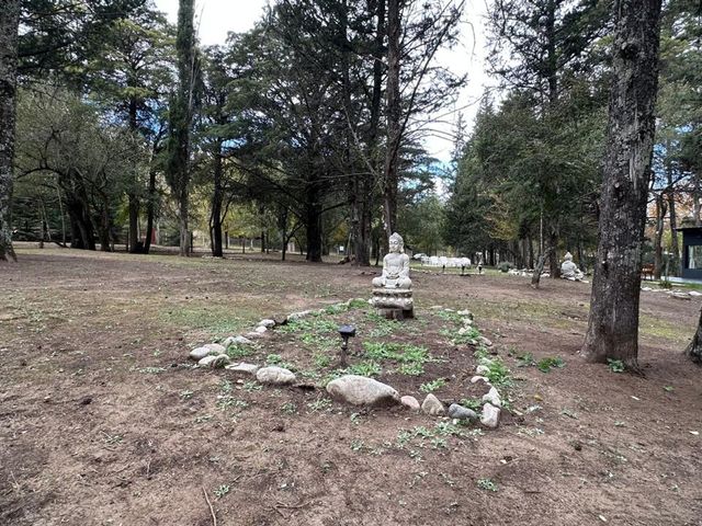 place photo 30