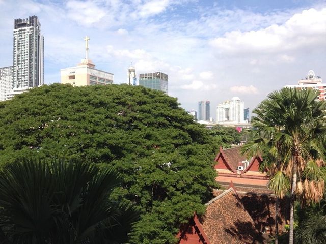 place photo 18