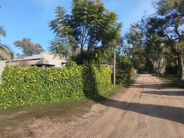 place photo 24
