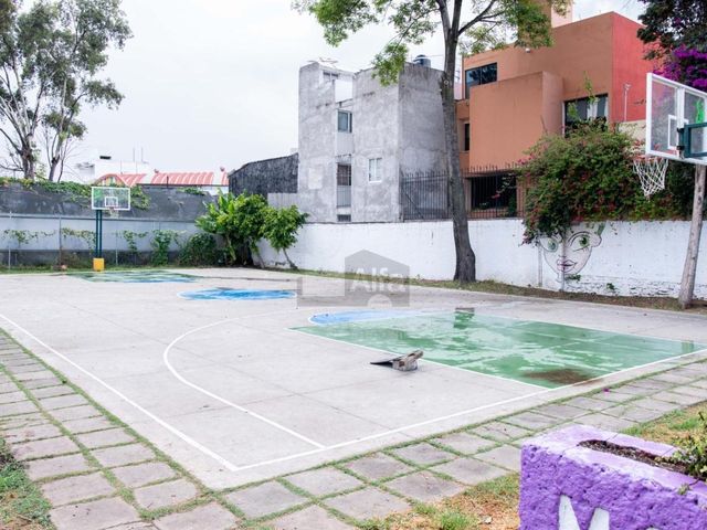 place photo 14