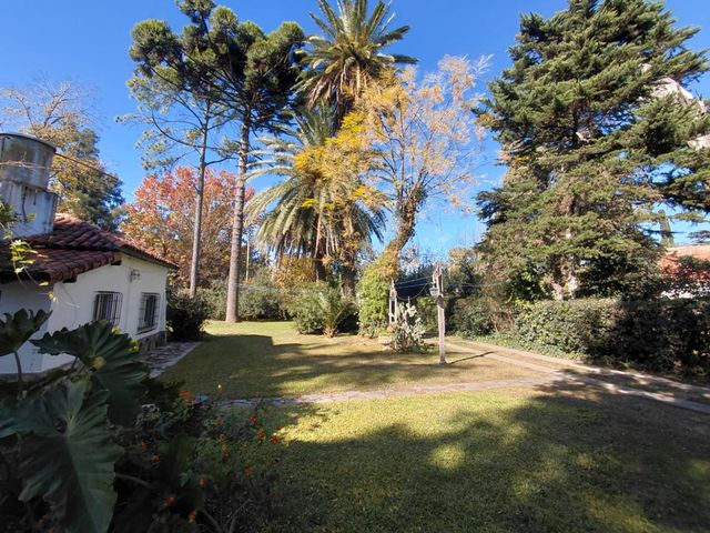 place photo 37