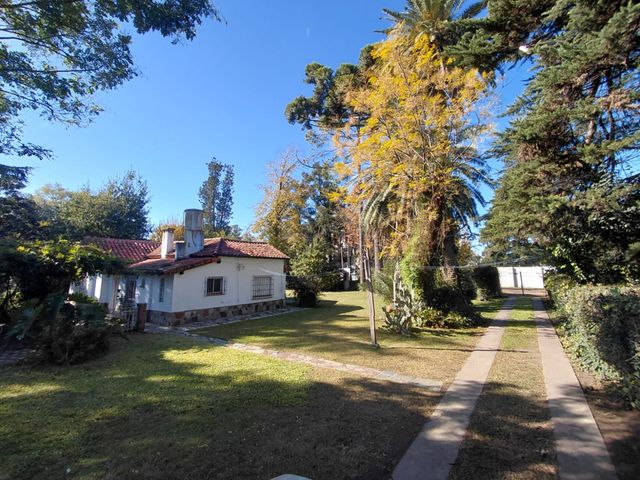 place photo 38