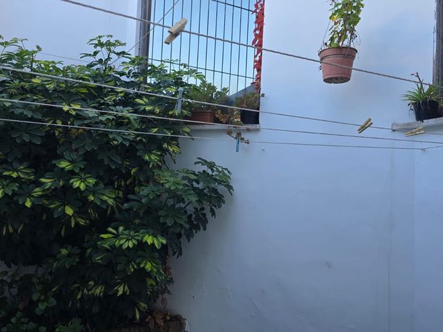 place photo 39