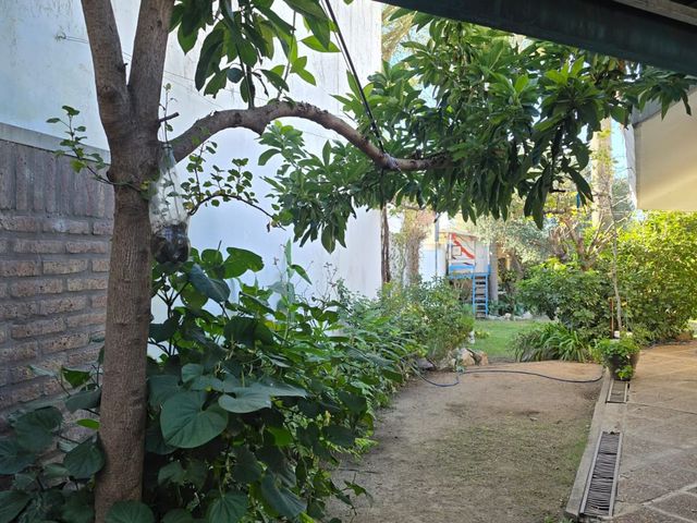 place photo 41