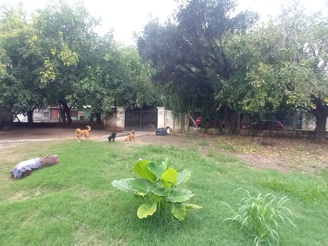 place photo 17