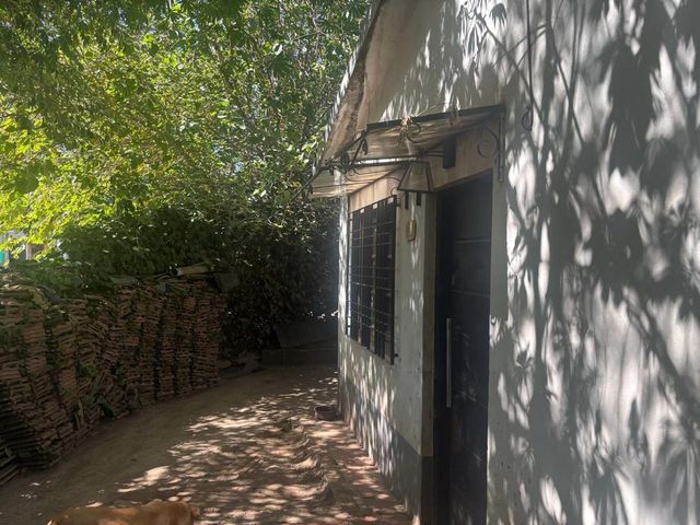 place photo 37