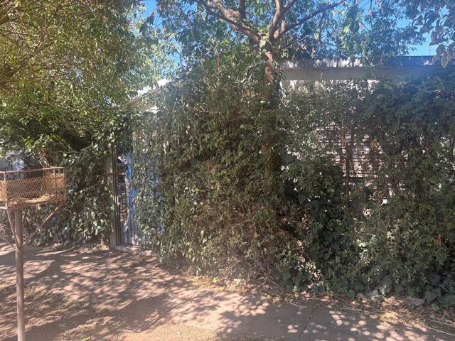 place photo 38
