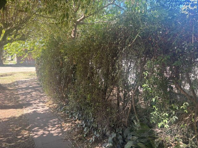 place photo 39