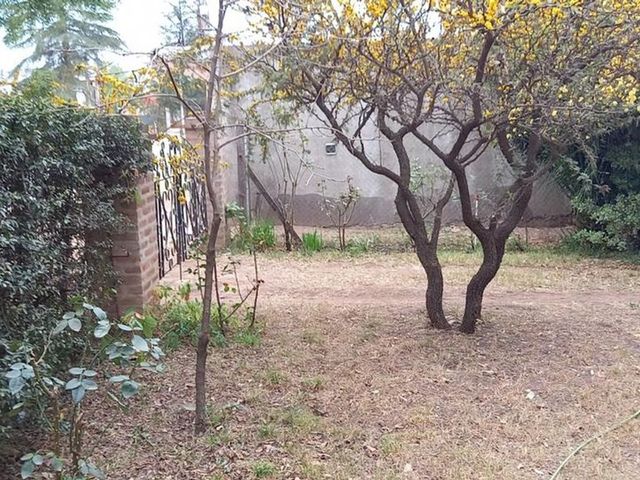 place photo 29