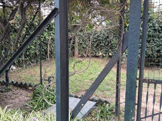 place photo 35