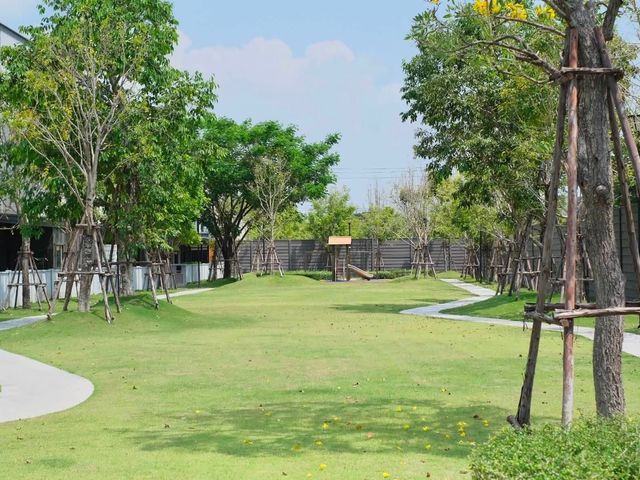place photo 49