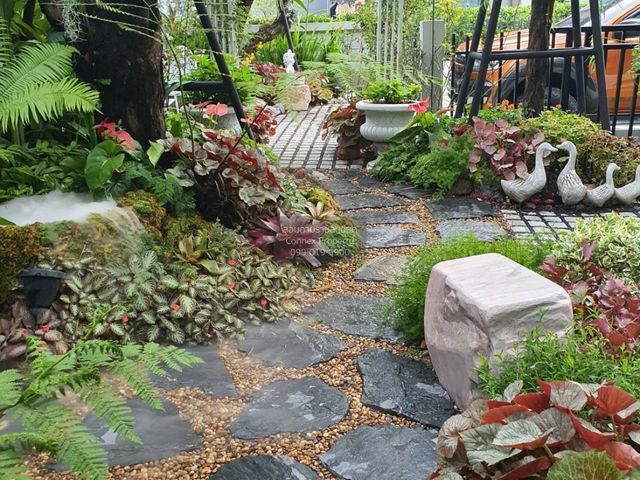 place photo 41