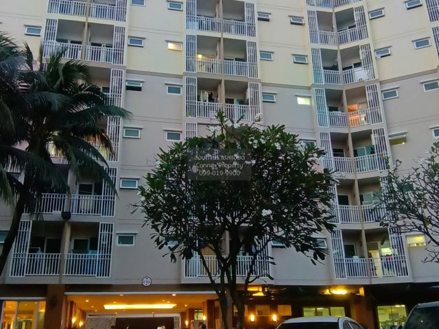 place photo 11