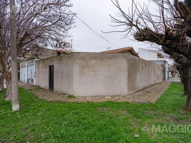 place photo 16