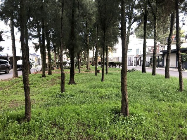 place photo 49