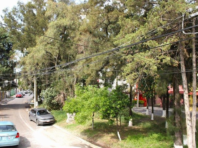 place photo 48
