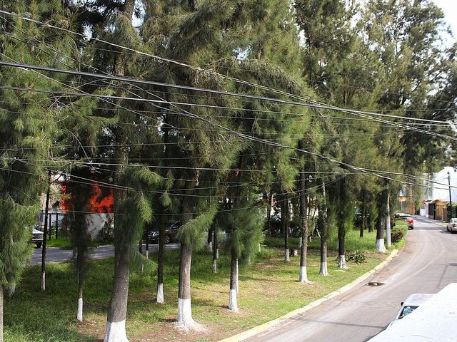 place photo 47
