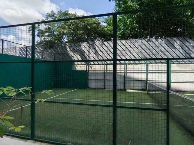 place photo 14